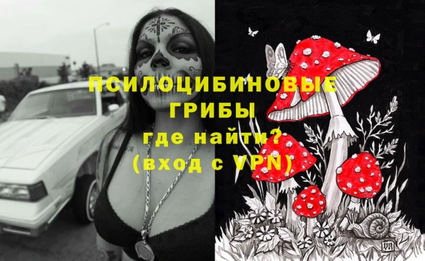 амф Алексеевка