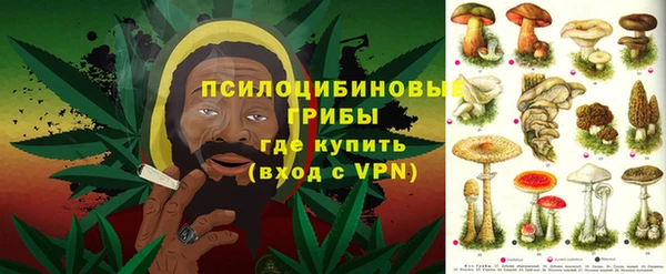 молекула духа Алексин