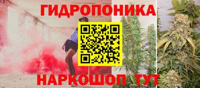 ешки Кинель