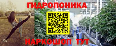 гашиш Кингисепп