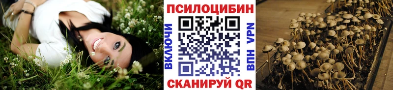 где купить наркотик  Феодосия  kraken сайт  Галлюциногенные грибы ЛСД 