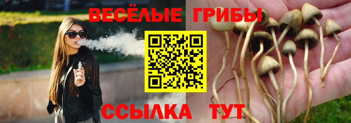 Галлюциногенные грибы GOLDEN TEACHER Феодосия